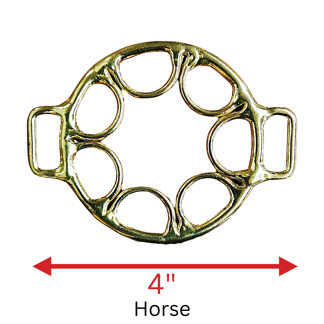Star Wheel Hackamore Pair in 4" Brass