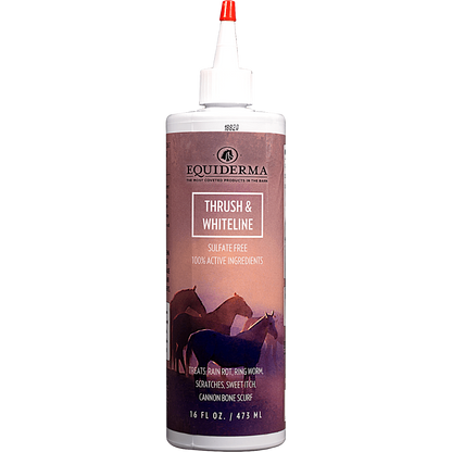 Equiderma Horse Thrush & Whiteline Treatment 16oz