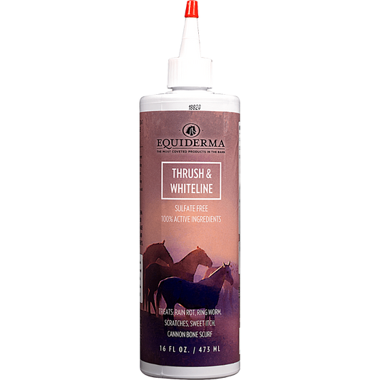 Equiderma Horse Thrush & Whiteline Treatment 16oz