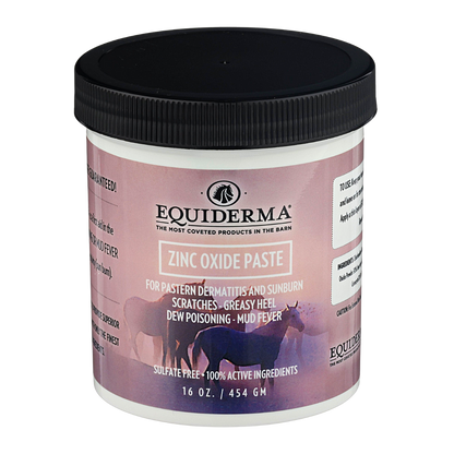 Equiderma Zinc Oxide Paste 16oz