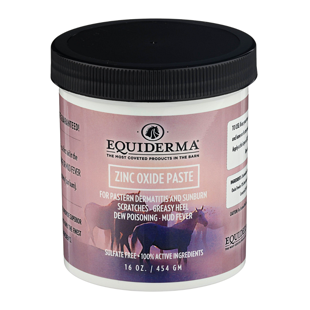 Equiderma Zinc Oxide Paste for Horses - 16oz Topical Wound and Skin Care Dark Gray