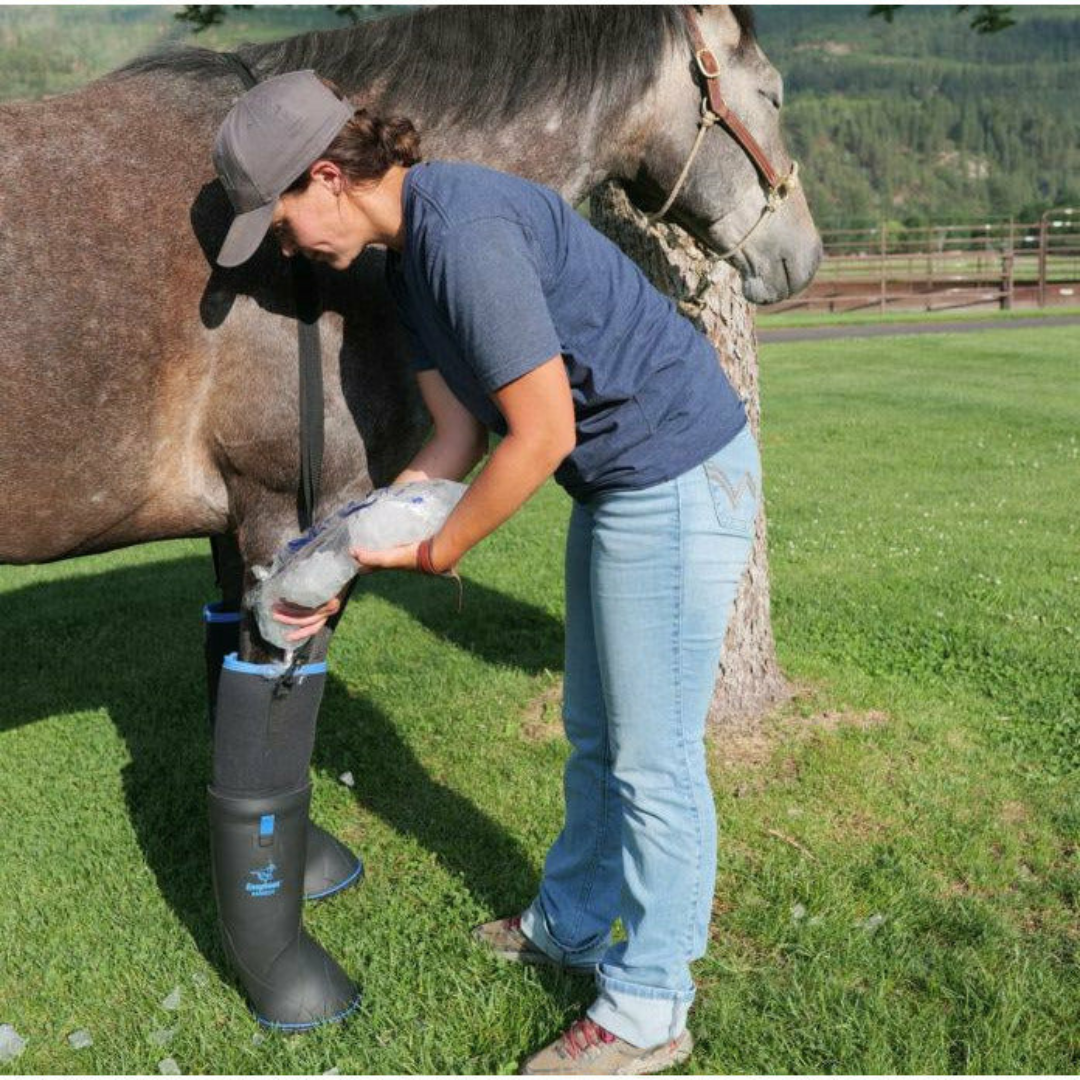 EasyCare Easyboot Ultimate Remedy on Horse