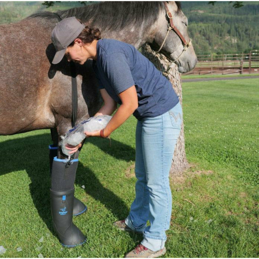 Easyboot Remedy - Single Boot Hoof Boot Accessories Dim Gray