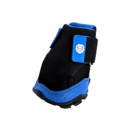 EasyCare Easyboot Rx2 Front Side View 2
