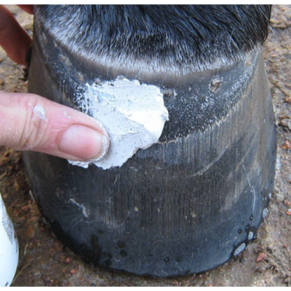 Red Horse Artimud Application on Hoof