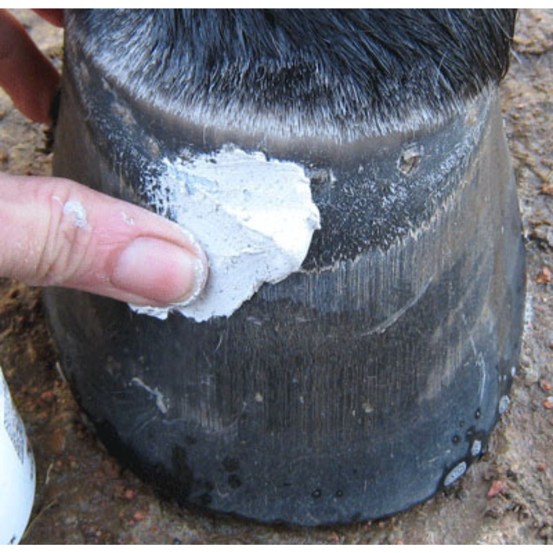 Red Horse Artimud Application on Hoof