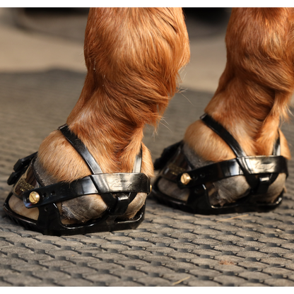 Scoot Boot Adjust on Horse 