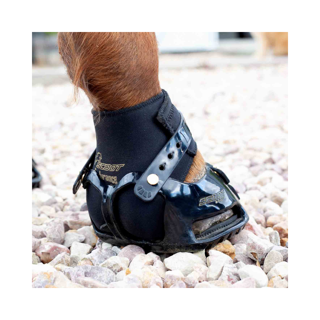 Scoot Boot Endurance Gaiters on a Horse