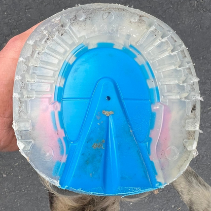 EasyShoe One Glue Worn