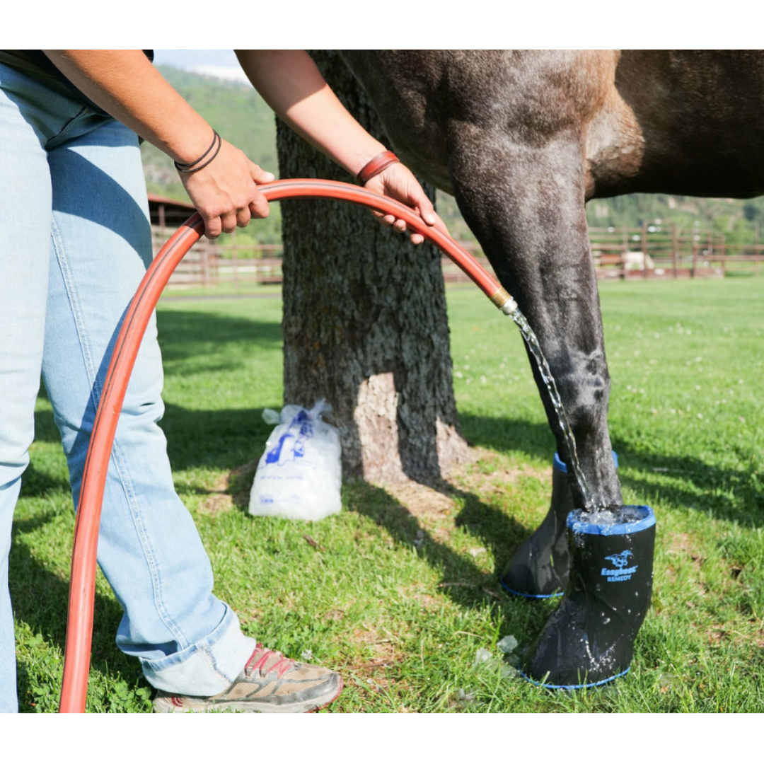 EasyCare Easyboot Remedy on Horse with Water Inside