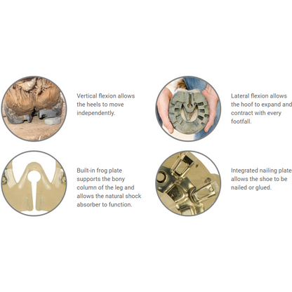 EasyCare EasyShoe Performance N/G Information