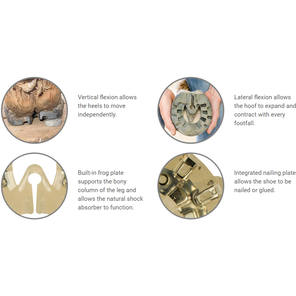 EasyCare EasyShoe Performance N/G Information