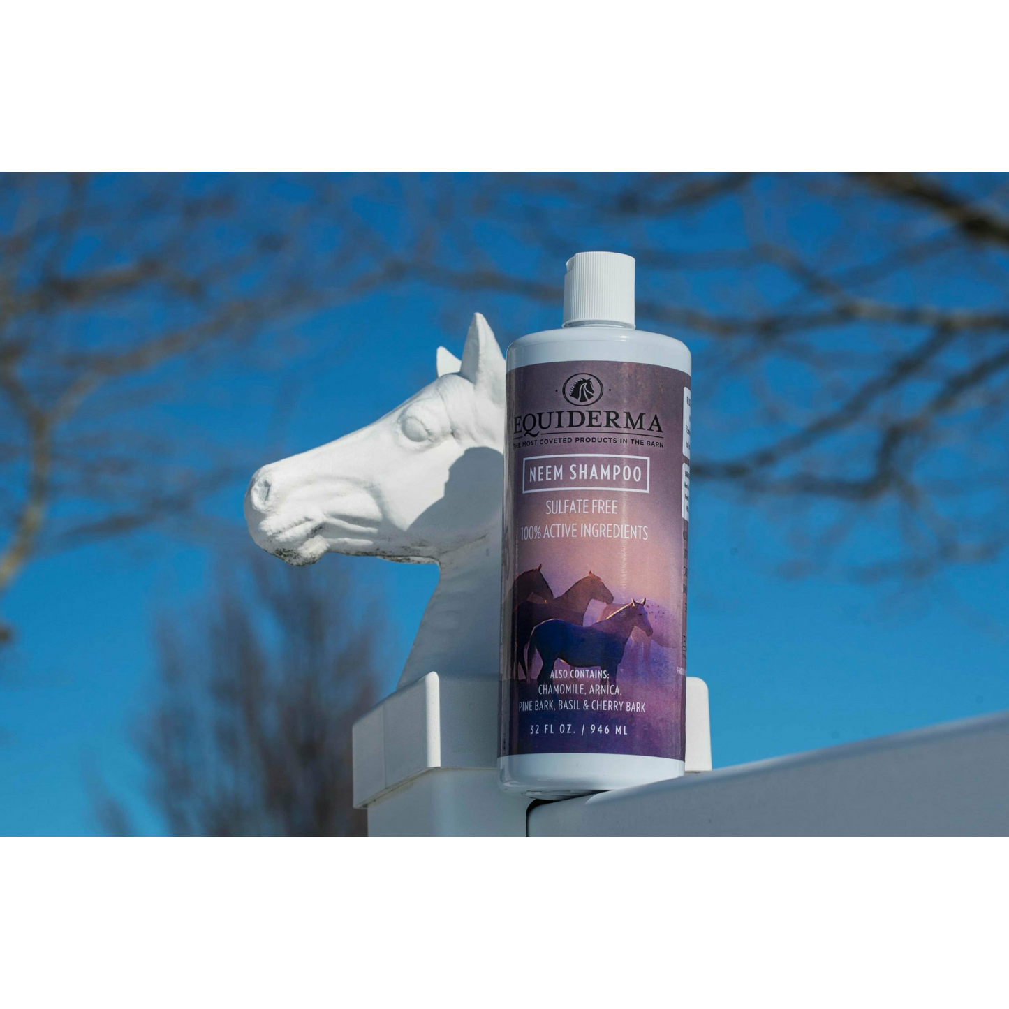 Neem Shampoo for Horses Topical Wound and Skin Care Dark Slate Blue