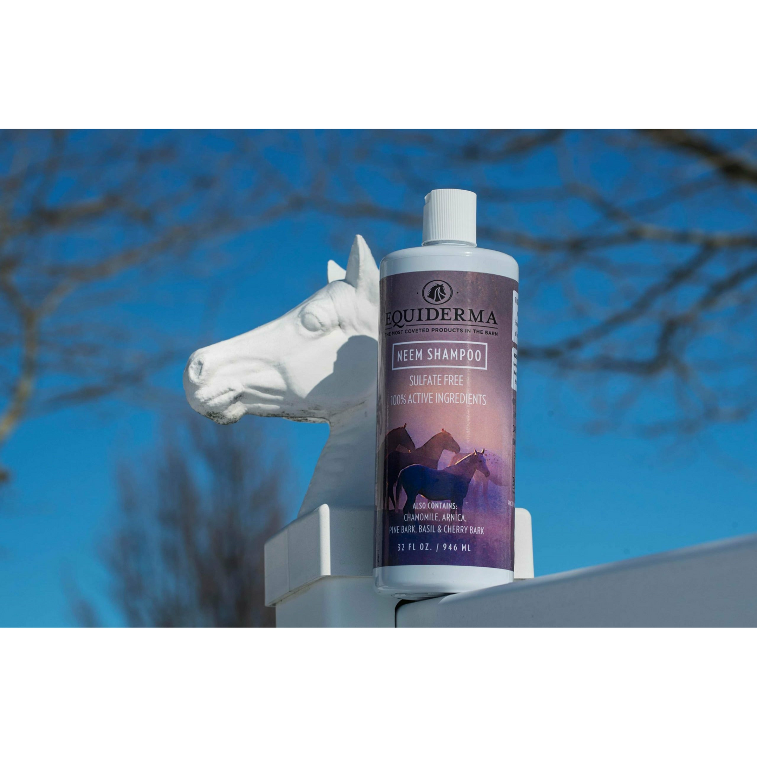 Equiderma Neem Horse Shampoo 32oz on Fence