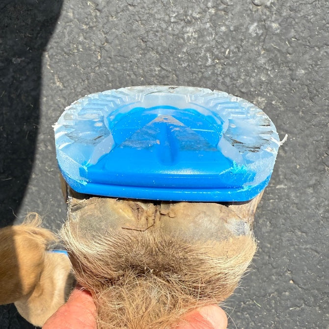 EasyShoe One Wedge - Pair *New*