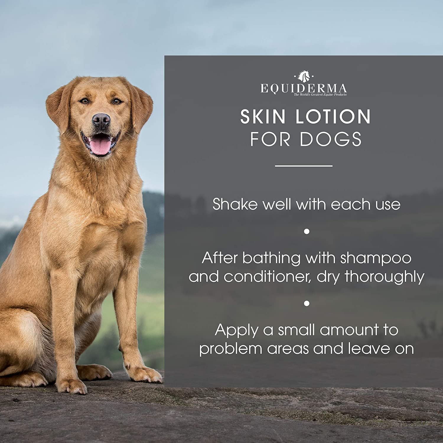 Skin Lotion for Dogs Topical Wound and Skin Care Dim Gray