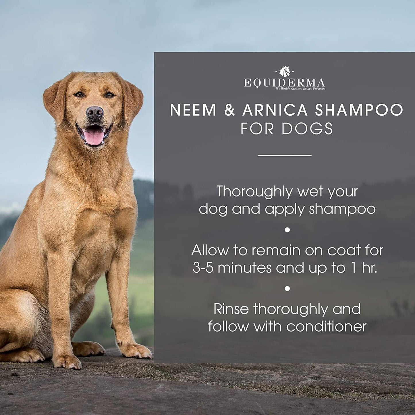 Neem Shampoo for Dogs Topical Wound and Skin Care Dim Gray
